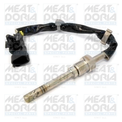 Sensor, exhaust gas temperature
